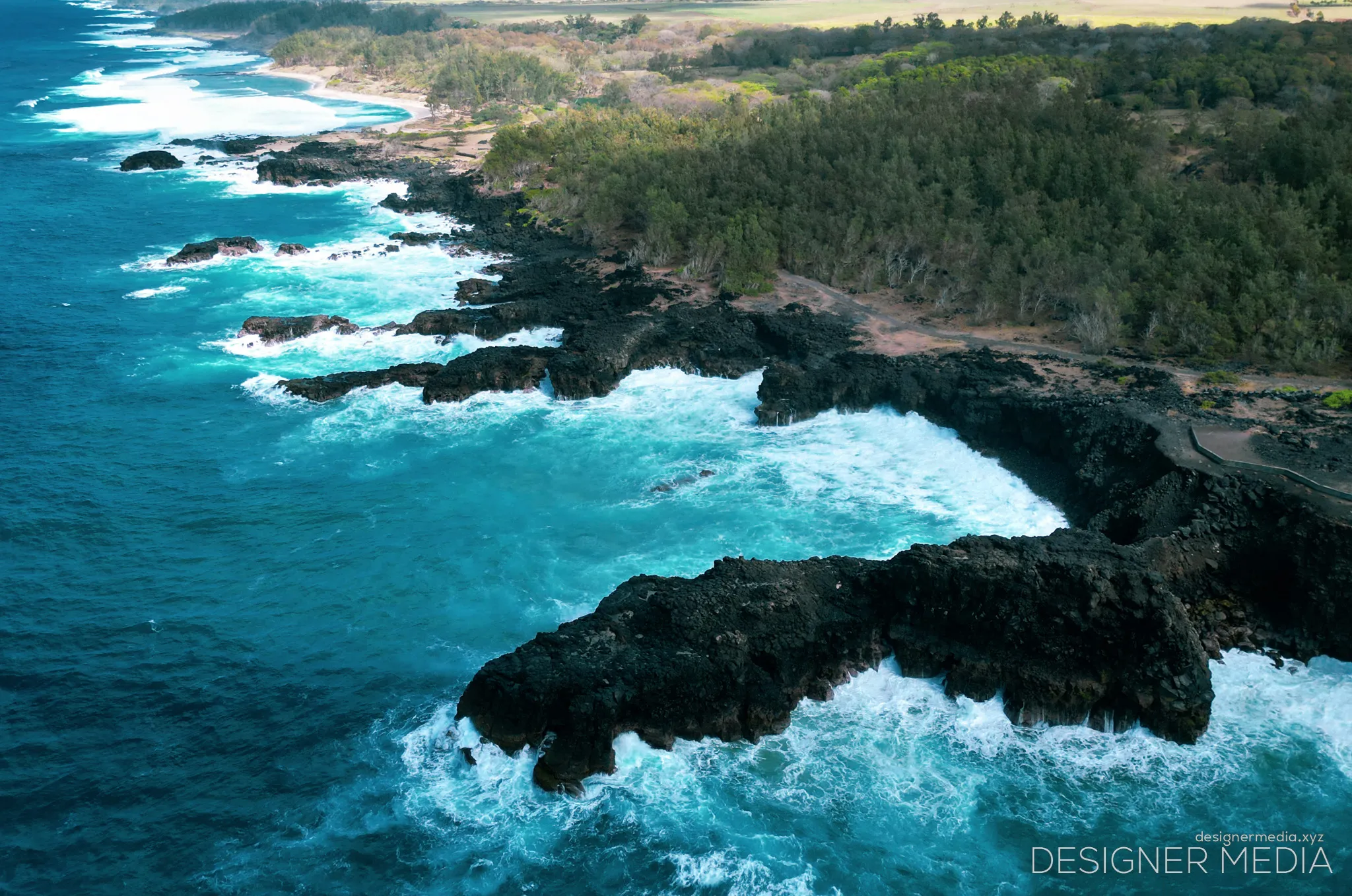 Le_Souffleur_Mauritius 1